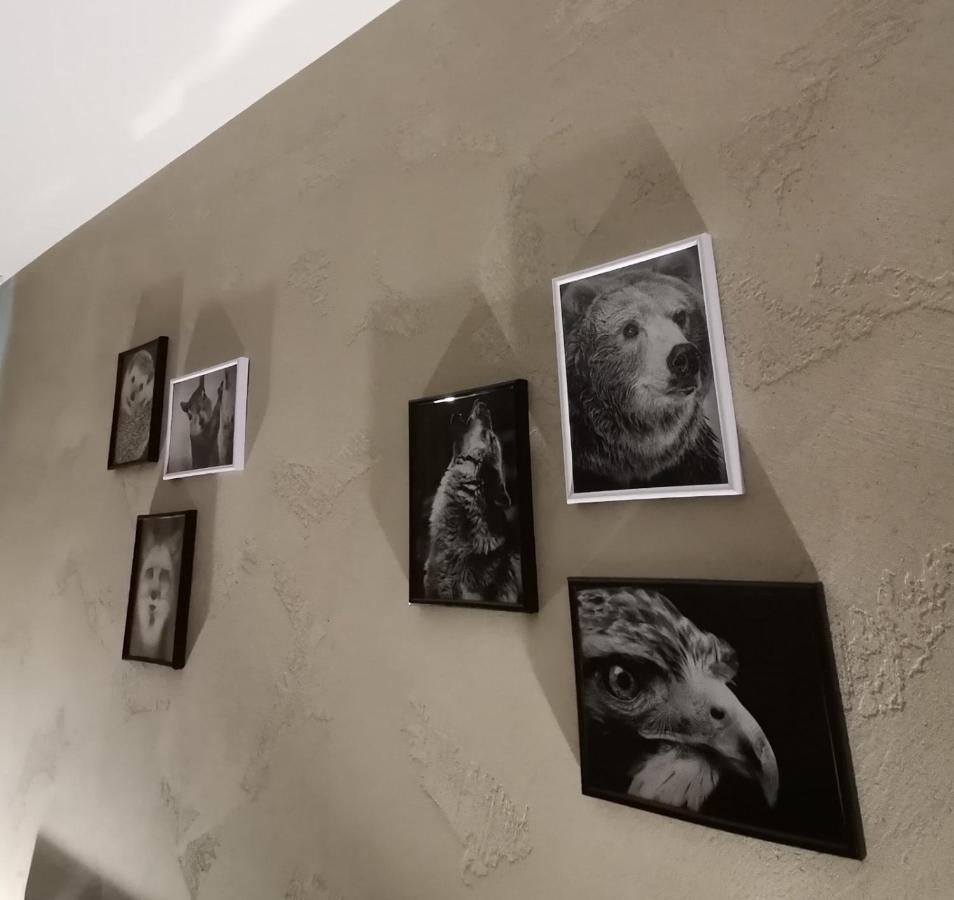 Studio A3 Borovets Gardens Ngoại thất bức ảnh